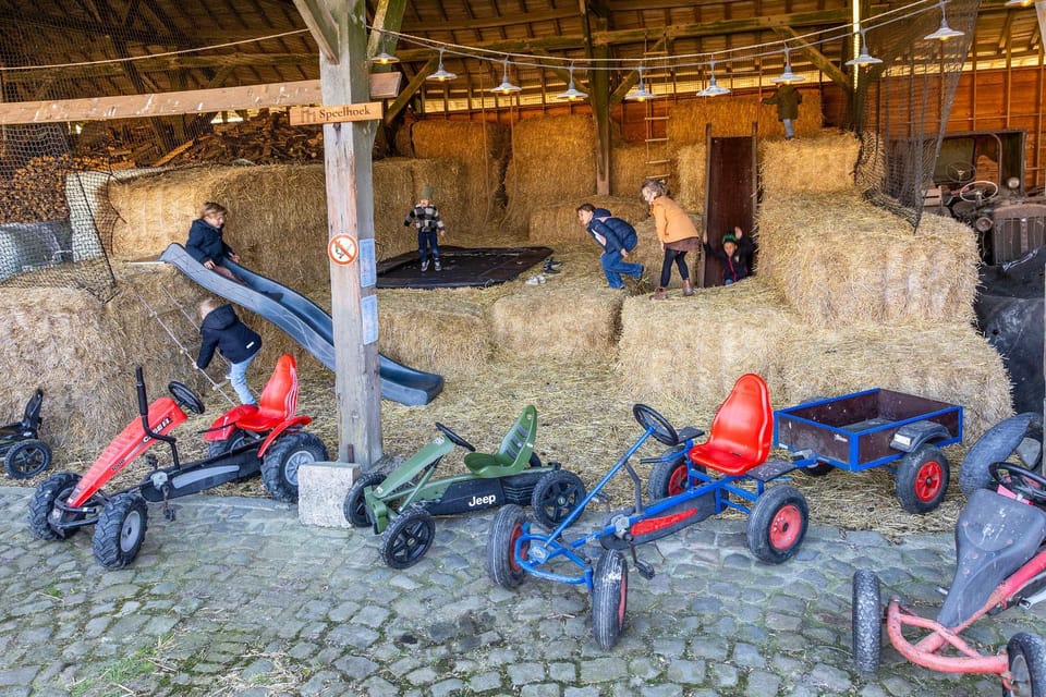 Children play ground, children, young children, older children