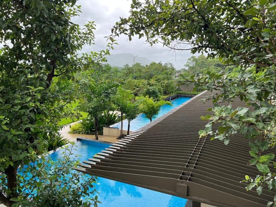 Swimming pool, Swimming pool