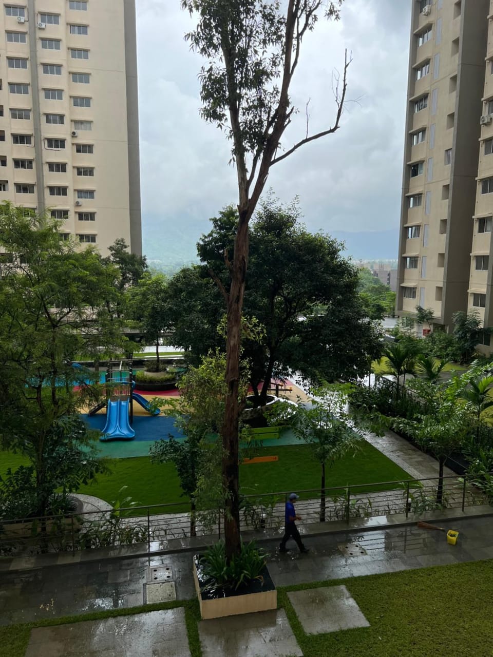 Garden view
