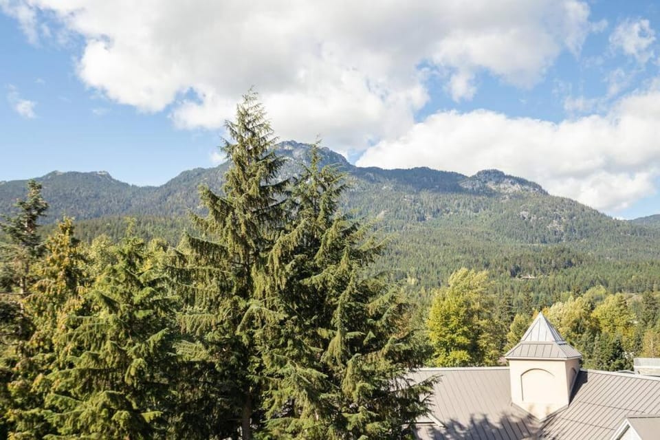 Skywood-Designer Condo,Steps to Creekside Gondola, Free Parking Apartment in Whistler