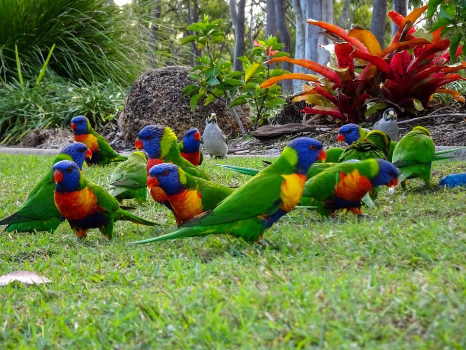 Sunlodge Caravan Park Campground/ 
RV Resort in Hervey Bay