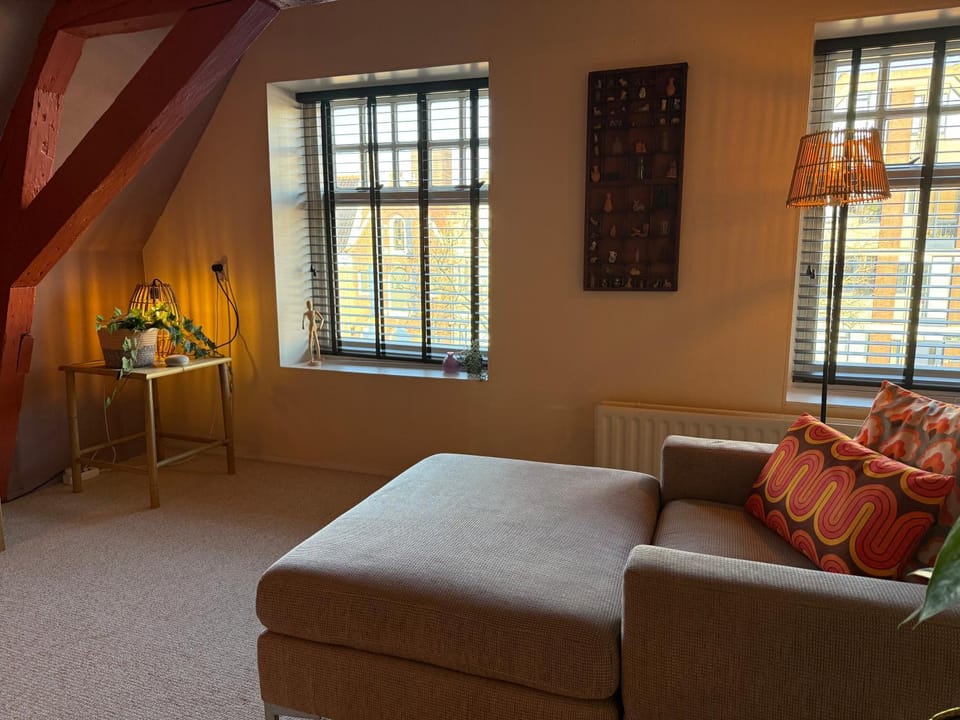 Elegant appartement in Pakhuis Friesland centrum Apartment in Leeuwarden