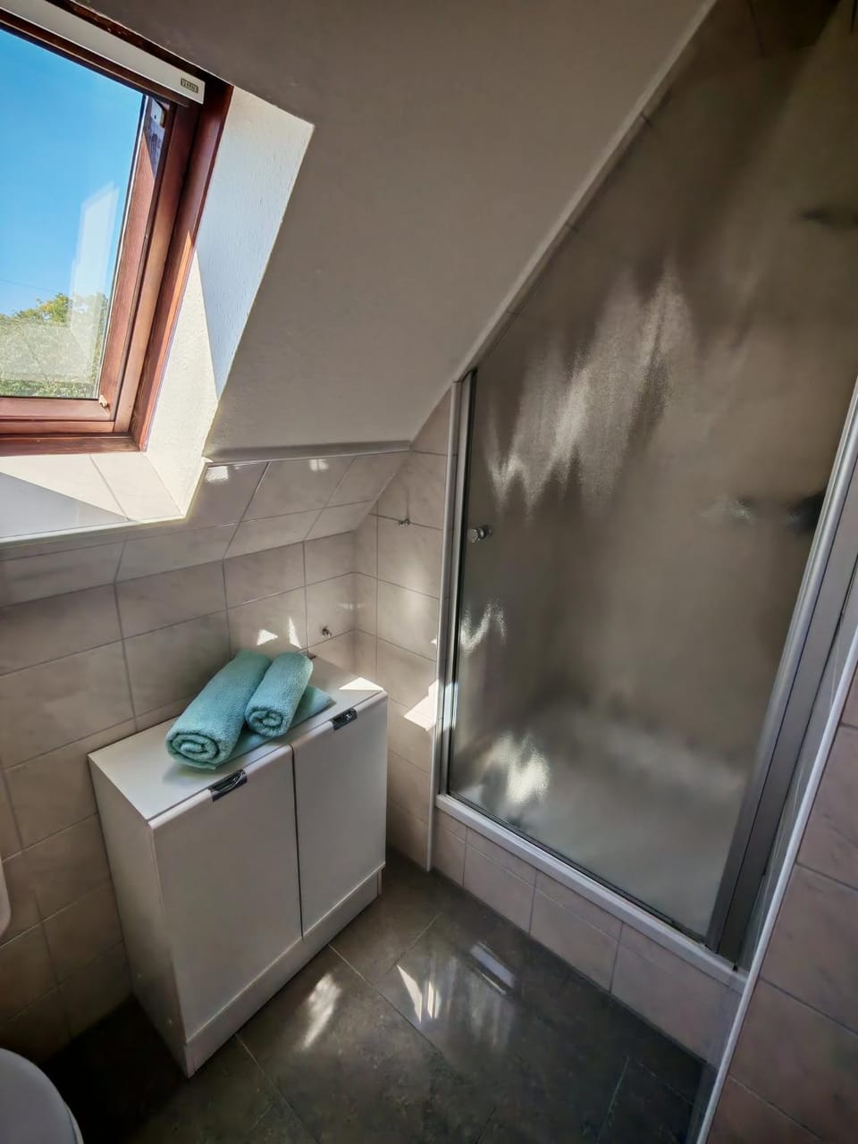 Shower, Toilet, Bathroom, Street view, towels