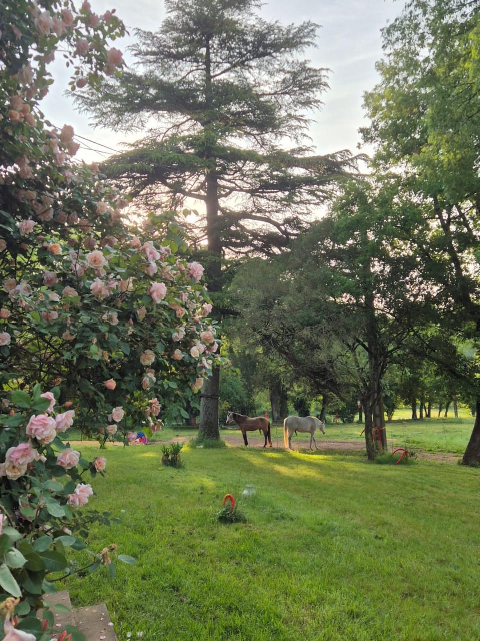 Marcart, sur le sentier du Miosson Saint Benoit Nature lodge in Poitiers