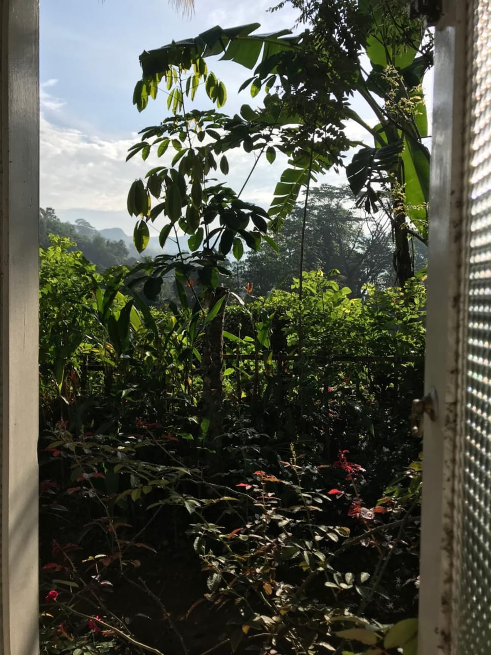 Mountain view