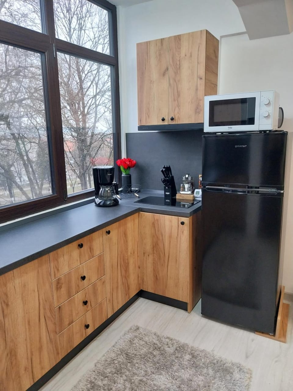 vApartament 2 central Apartment in Serbia