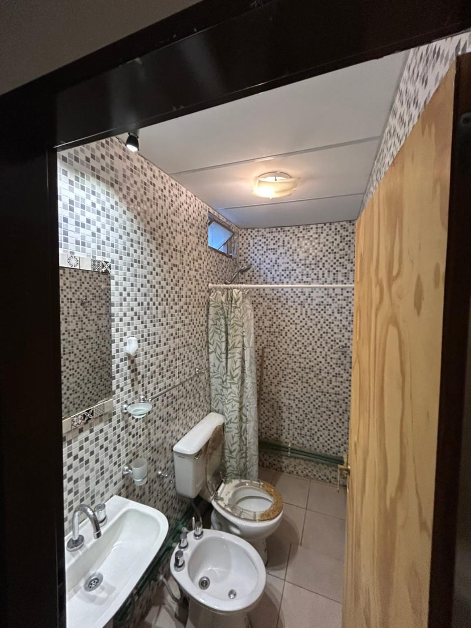 Shower, Toilet, bidet