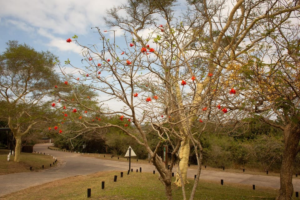 Natural landscape, Quiet street view
