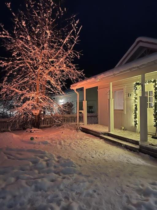 Property building, Night, Winter