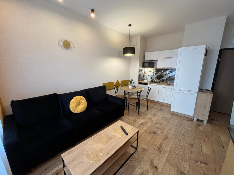 Kitchen or kitchenette, Living room, Seating area, oven, stove
