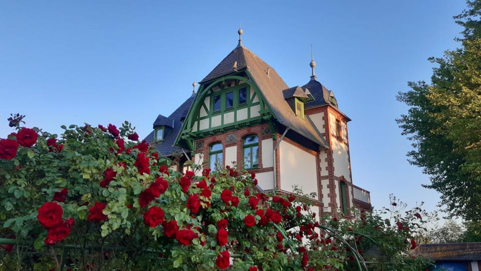 Property building, Garden, Garden view