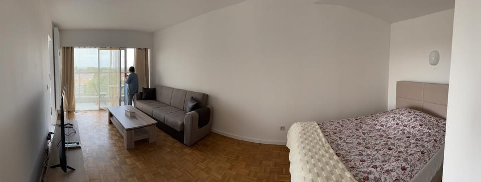 STUDIO Zone touristique Apartment in Brussels