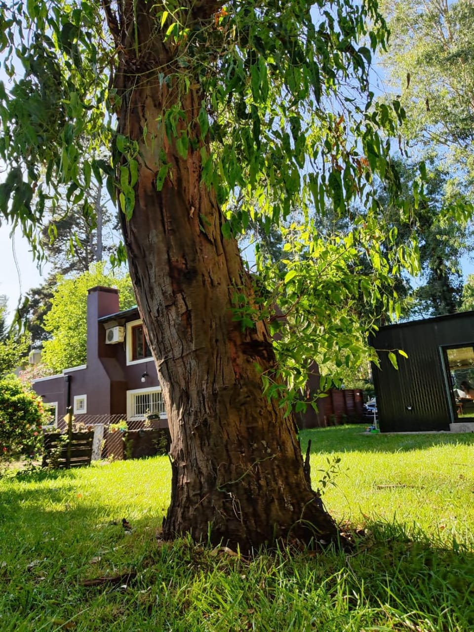 Natural landscape, Garden, Garden view