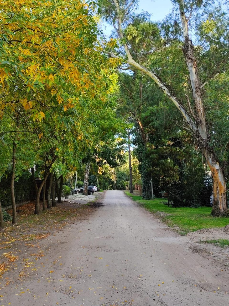 Neighbourhood, Natural landscape