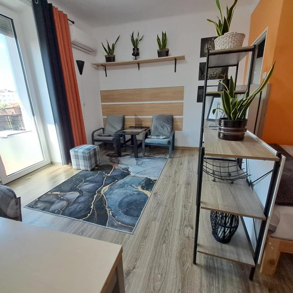 Apartment Le Chat Apartment in Masovian Voivodeship