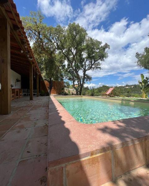 Garden, Swimming pool, Swimming pool