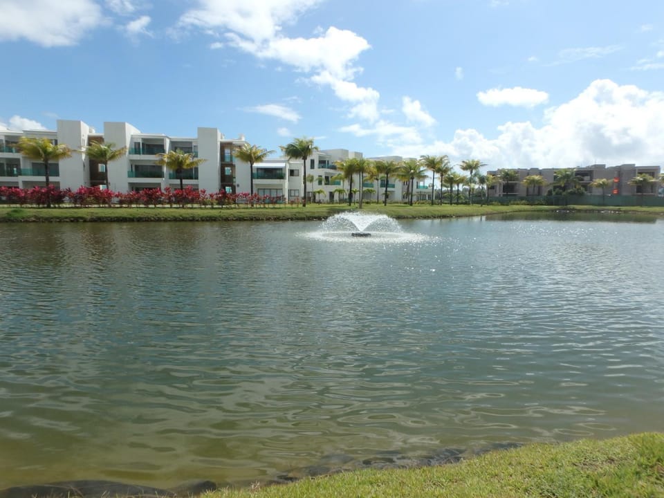 Lake view