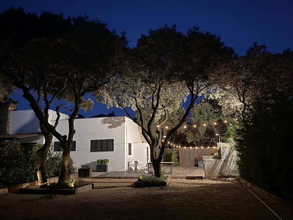 Night, Garden view