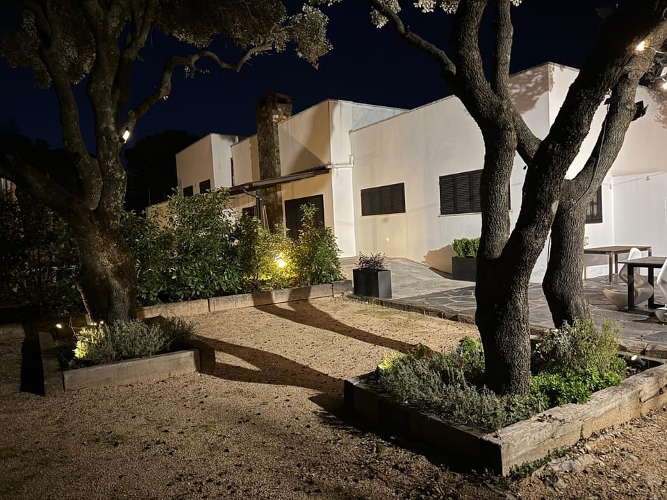 Night, Garden view