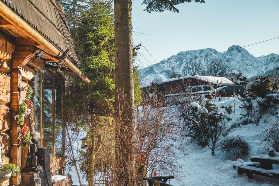 Winter, Garden, Mountain view