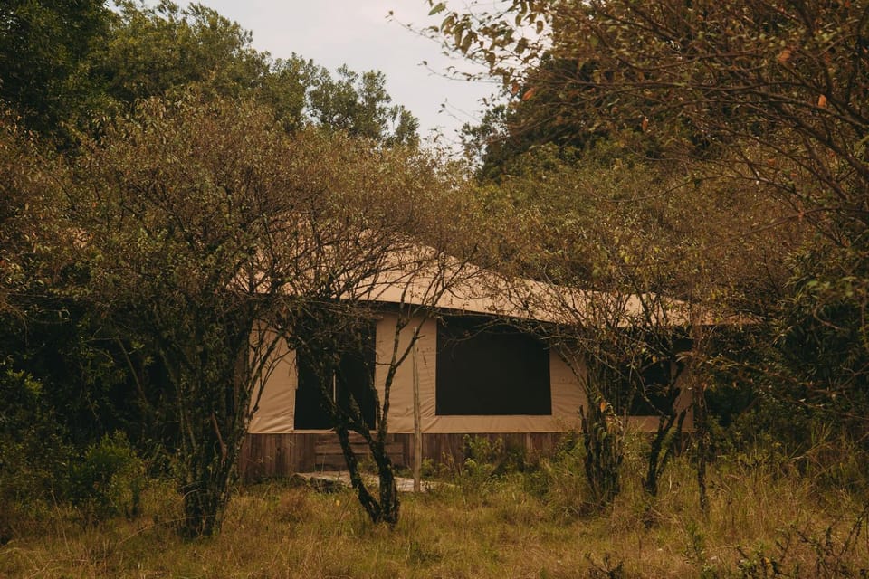 Property building, Natural landscape