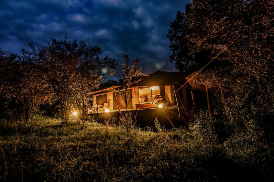 Property building, Night, Natural landscape