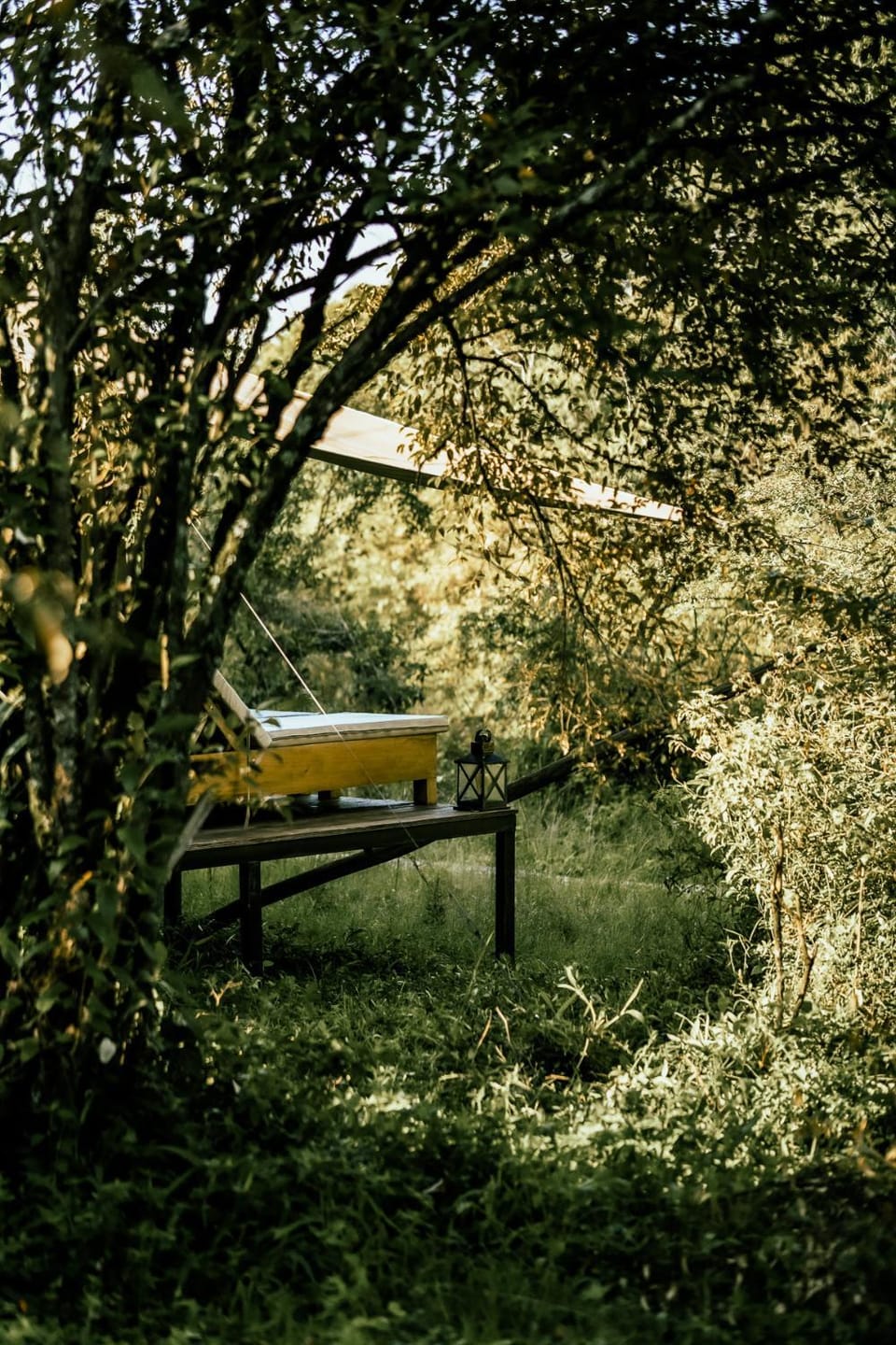 Natural landscape, Garden view