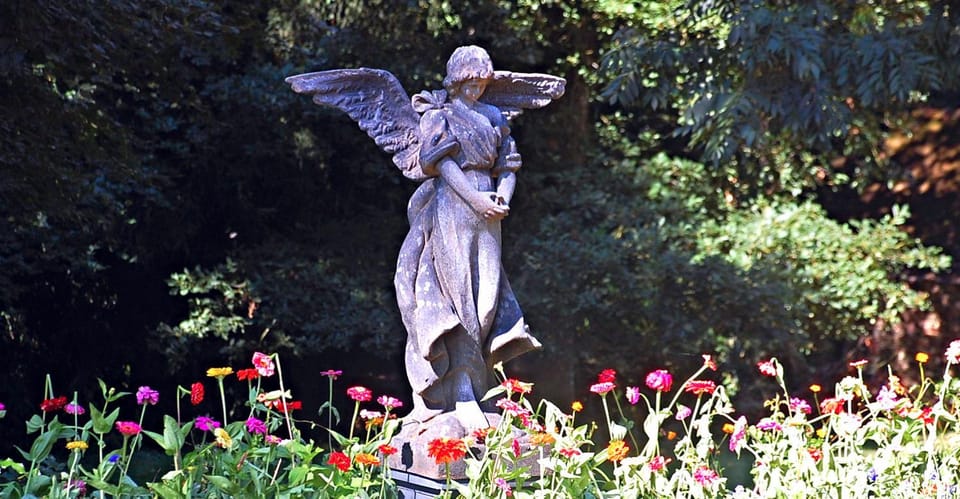 Chateau du Mur Country House in Brittany