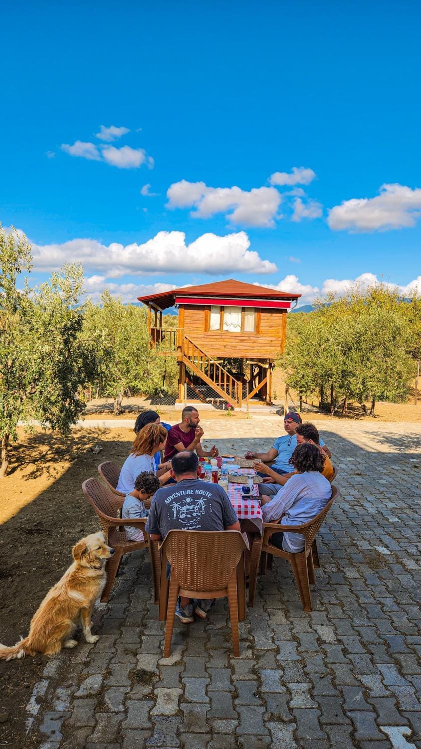 Patio, Day, People, Garden, Seating area, Dining area, Garden view, group of guests