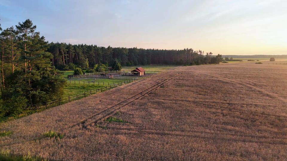 Property building, Off site, Bird's eye view, View (from property/room), Location