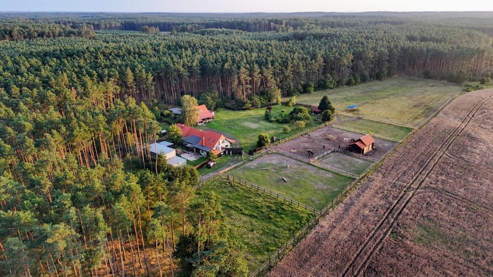 Property building, Off site, Bird's eye view, View (from property/room), Location