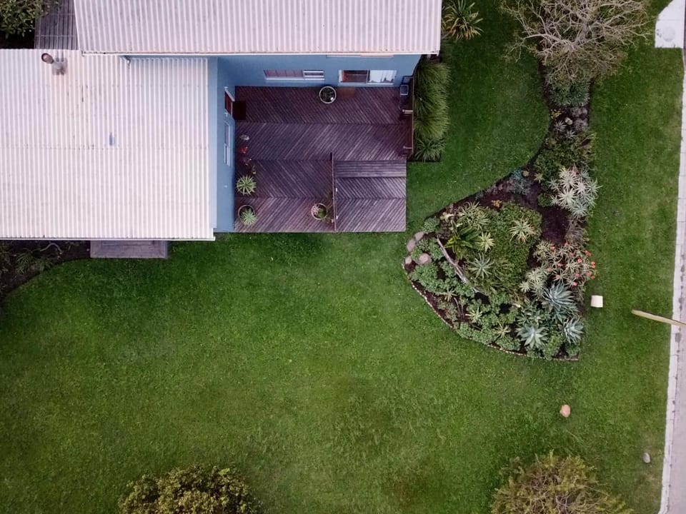 Natural landscape, Bird's eye view, Garden view