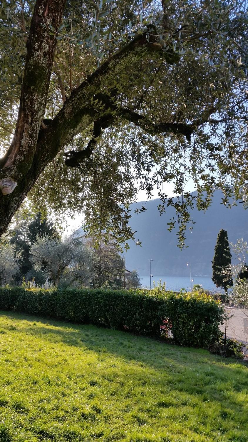 Garden, Lake view