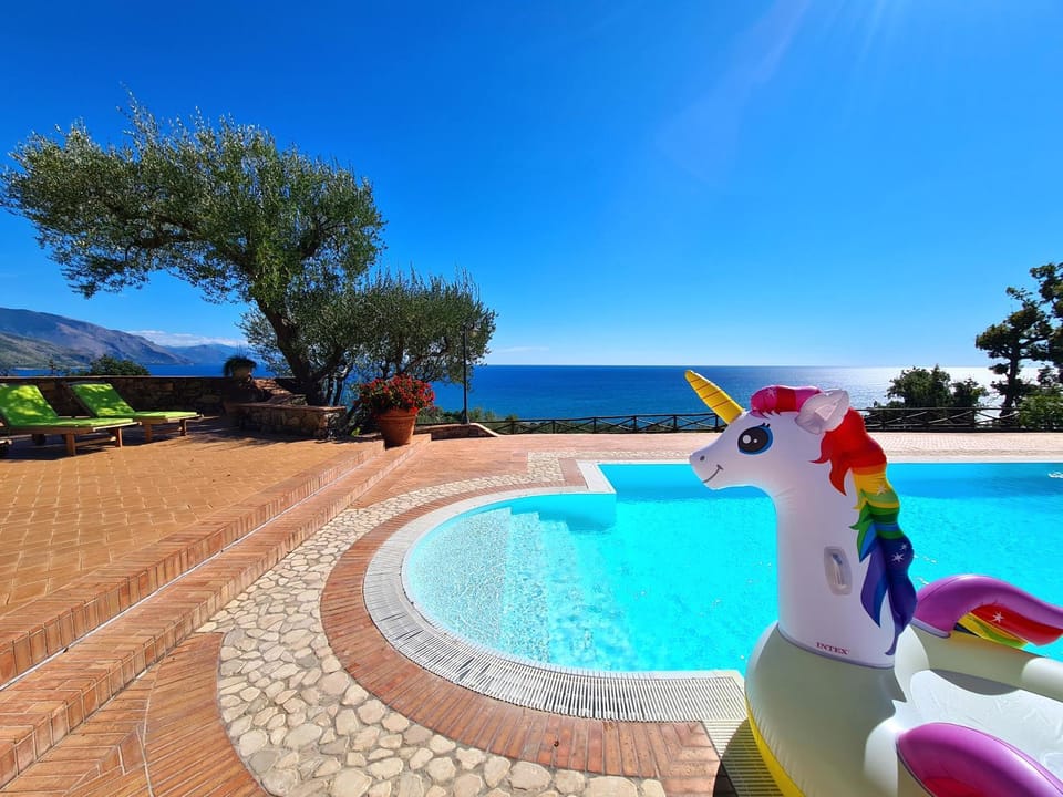 Swimming pool, Swimming pool