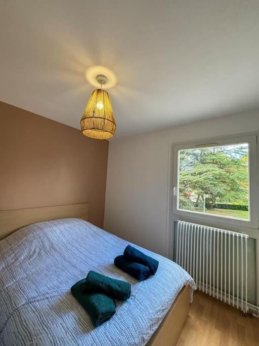 Lagnieu chez Lucie Apartment in Auvergne-Rhône-Alpes