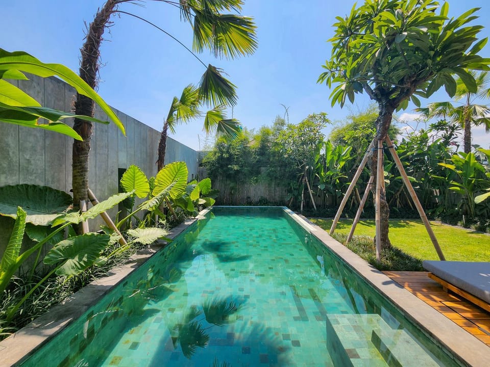 Day, Garden, Swimming pool