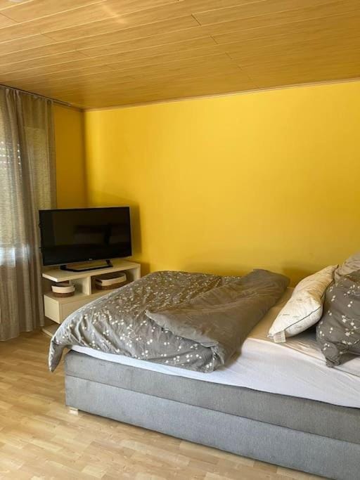 Zimmer in Langgöns mit Schlafsofa Apartment in Hesse