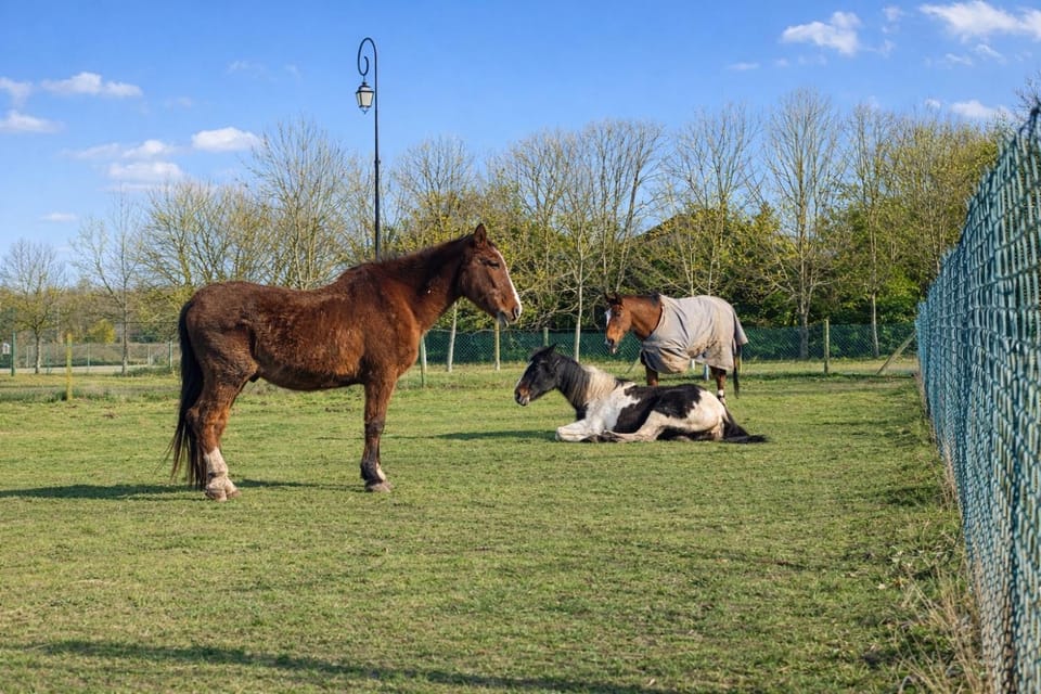 Charmante Maison de Ferrières House in Normandy