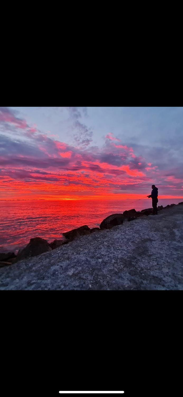 La Conchiglia sul Mare Apartment in Vada