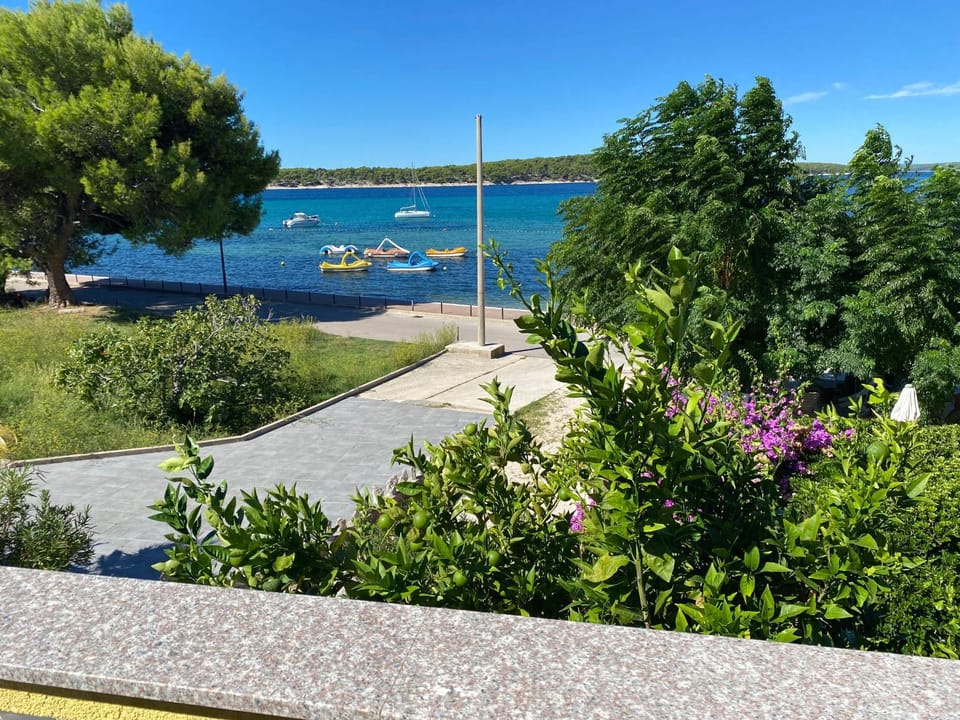 Summer, Garden, Balcony/Terrace, Garden view, Sea view