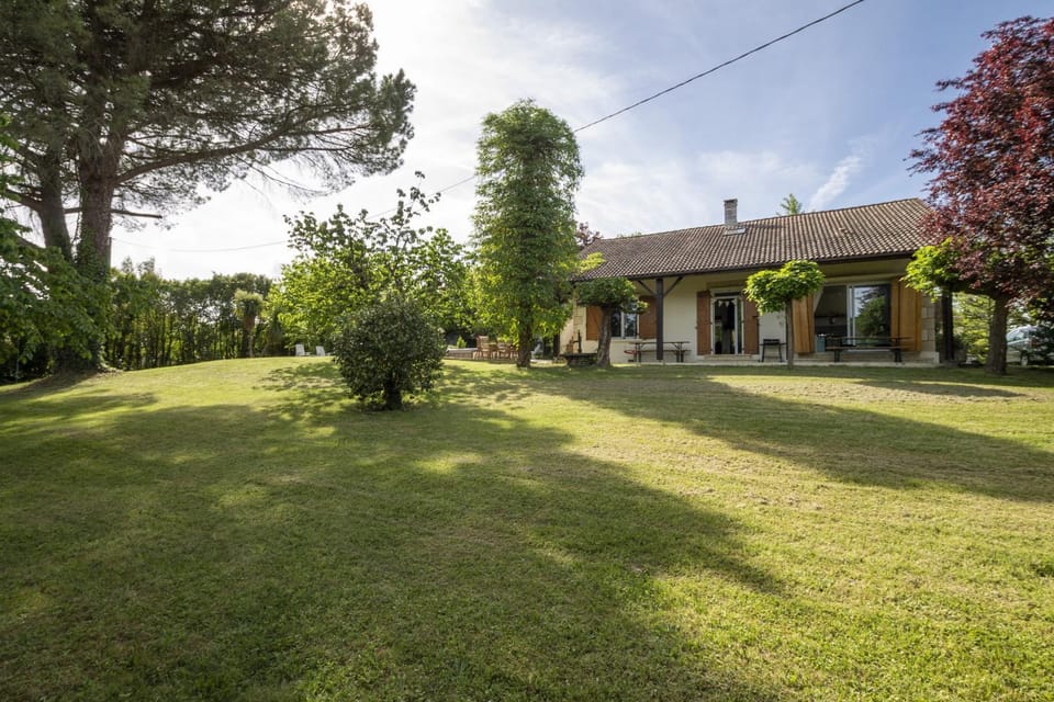 Patio, Garden, Garden view