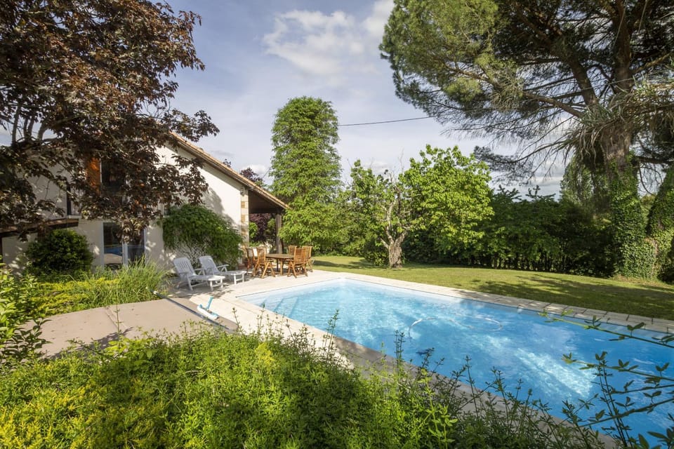 Patio, Garden, Garden view