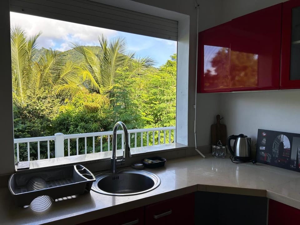Garden, Kitchen or kitchenette