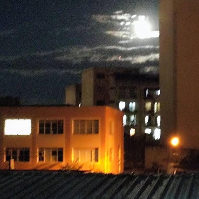 Night