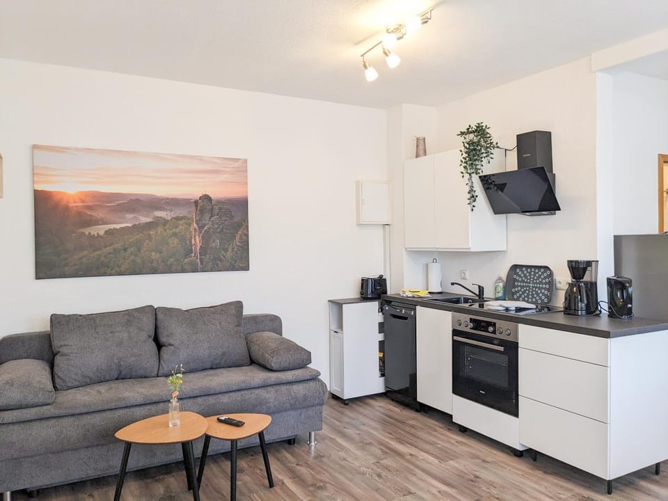 Kitchen or kitchenette, Living room, stove