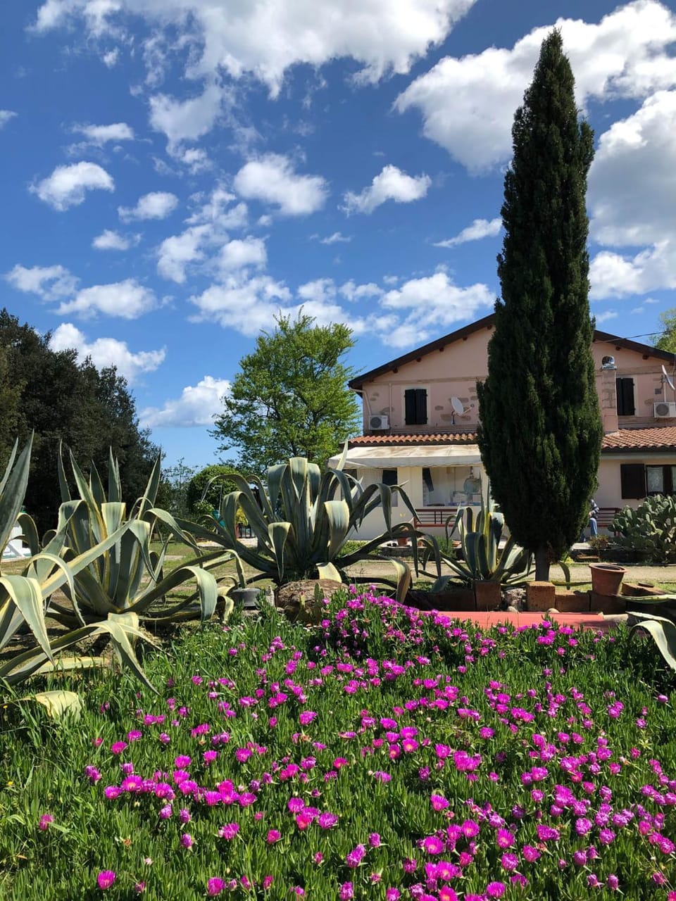 Garden, Garden