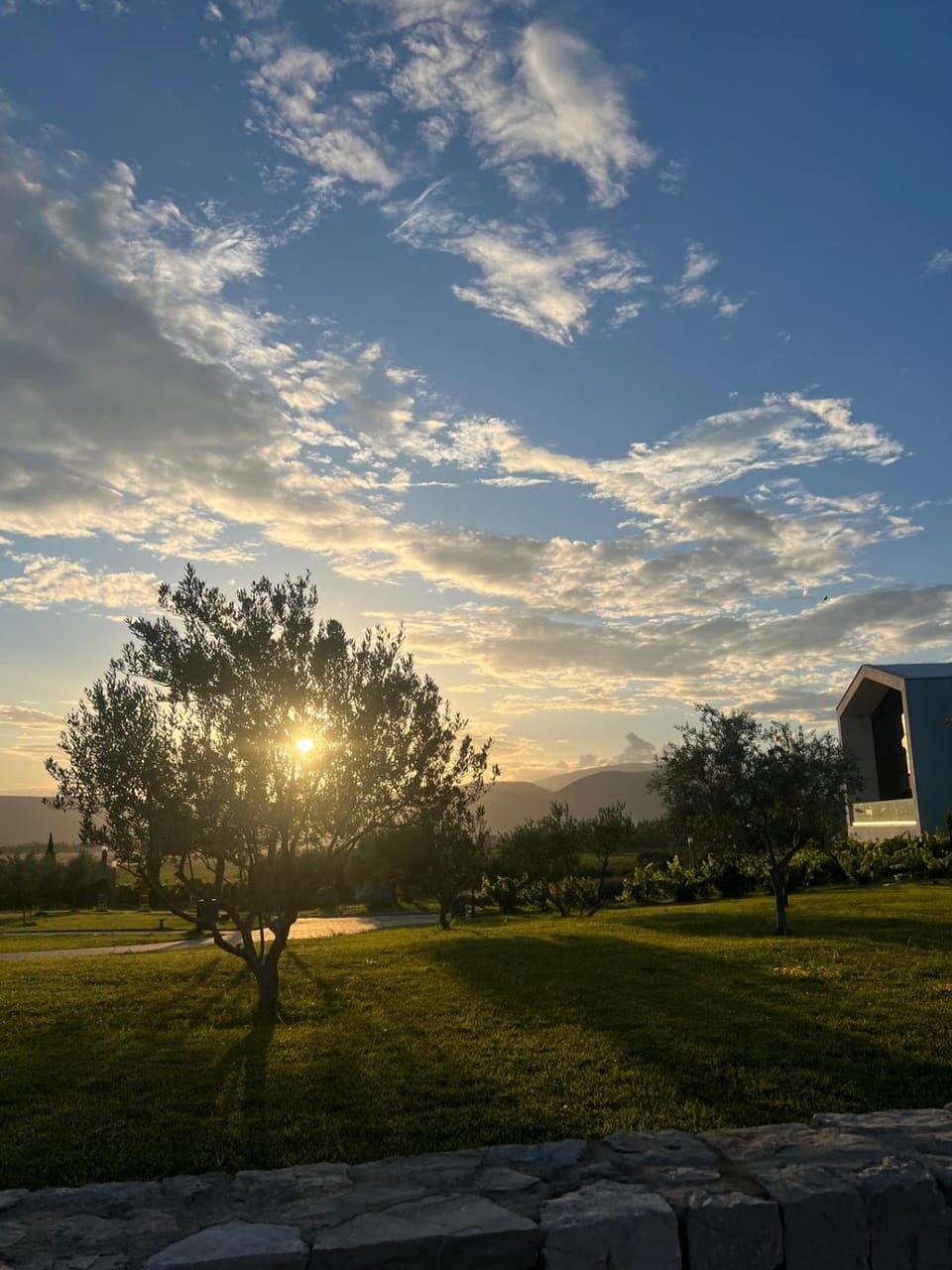 Spring, Natural landscape, Garden, Garden view, Sunset