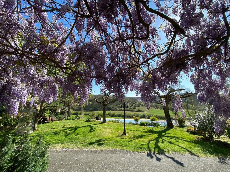 le gîte du Cantou Bed and Breakfast in Occitanie