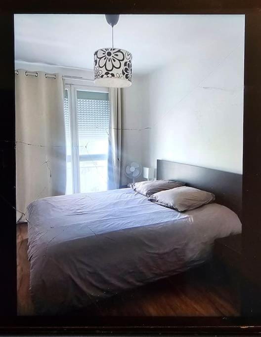 Chez Pascal Sissi -Grand Appart,Ile Nantes, CCgrés Apartment in Nantes
