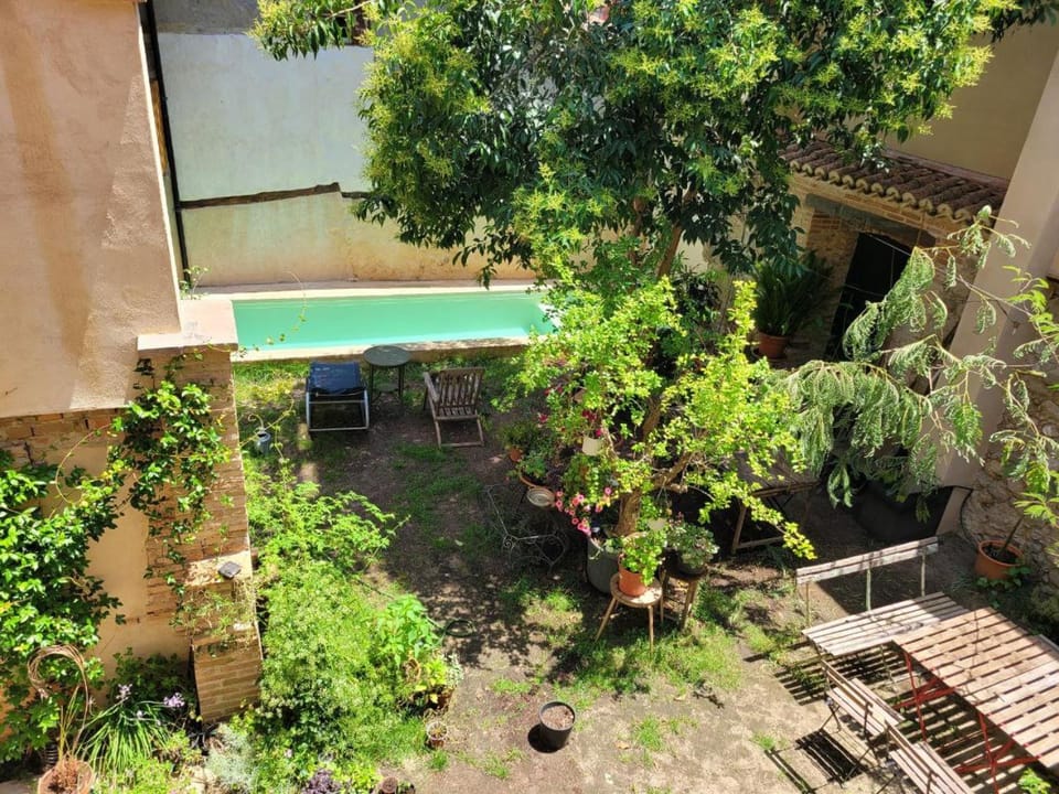 Patio, Garden, Garden, Swimming pool, Swimming pool